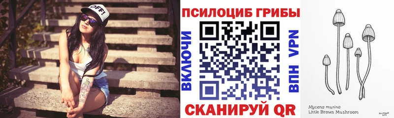 MEGA как зайти Шелехов Псилоцибиновые грибы GOLDEN TEACHER где купить наркоту
